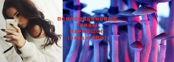 хмурый Алзамай