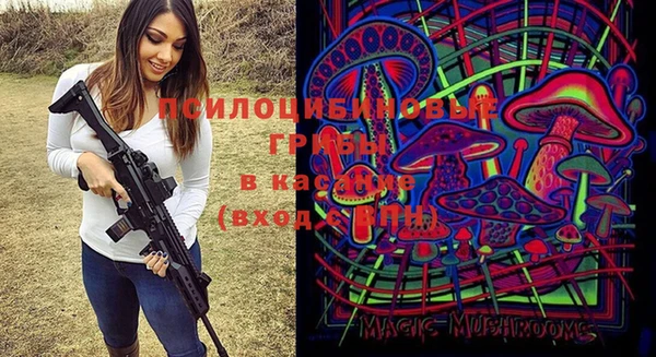 бошки Абинск