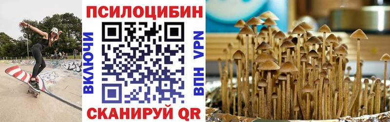 Галлюциногенные грибы Psilocybine cubensis  купить наркотики сайты  Курлово 